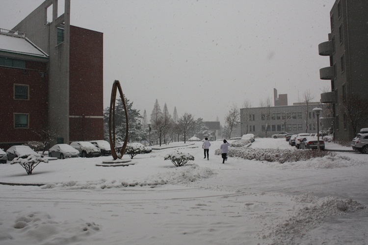 IMG_8962.JPG