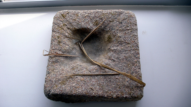 L1020006.jpg