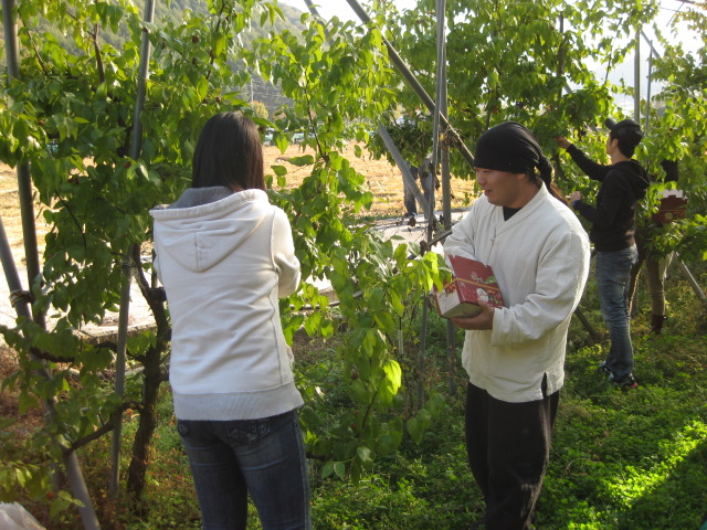 사진 072.jpg