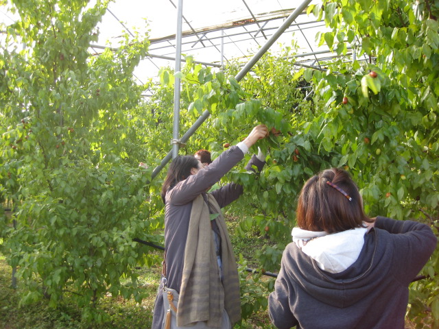 사진 073.jpg