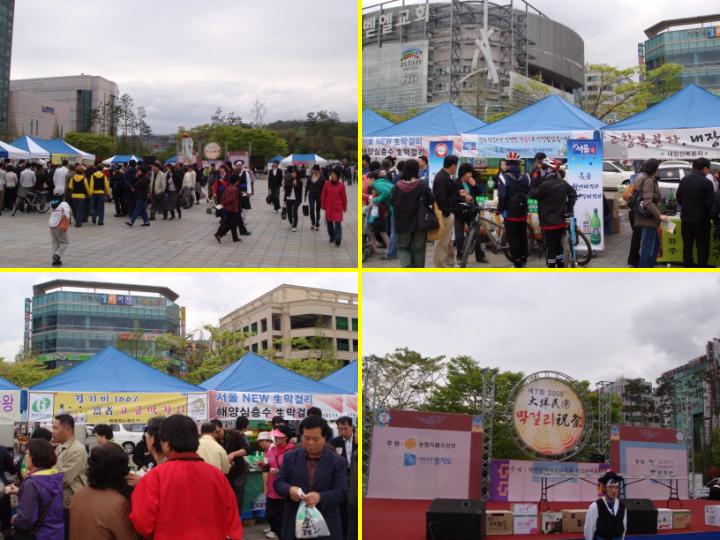 막걸리축제.JPG