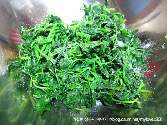 비름나물의 효능2.jpg : 비름나물 비름나물의 효능2.jpg : 비름나물