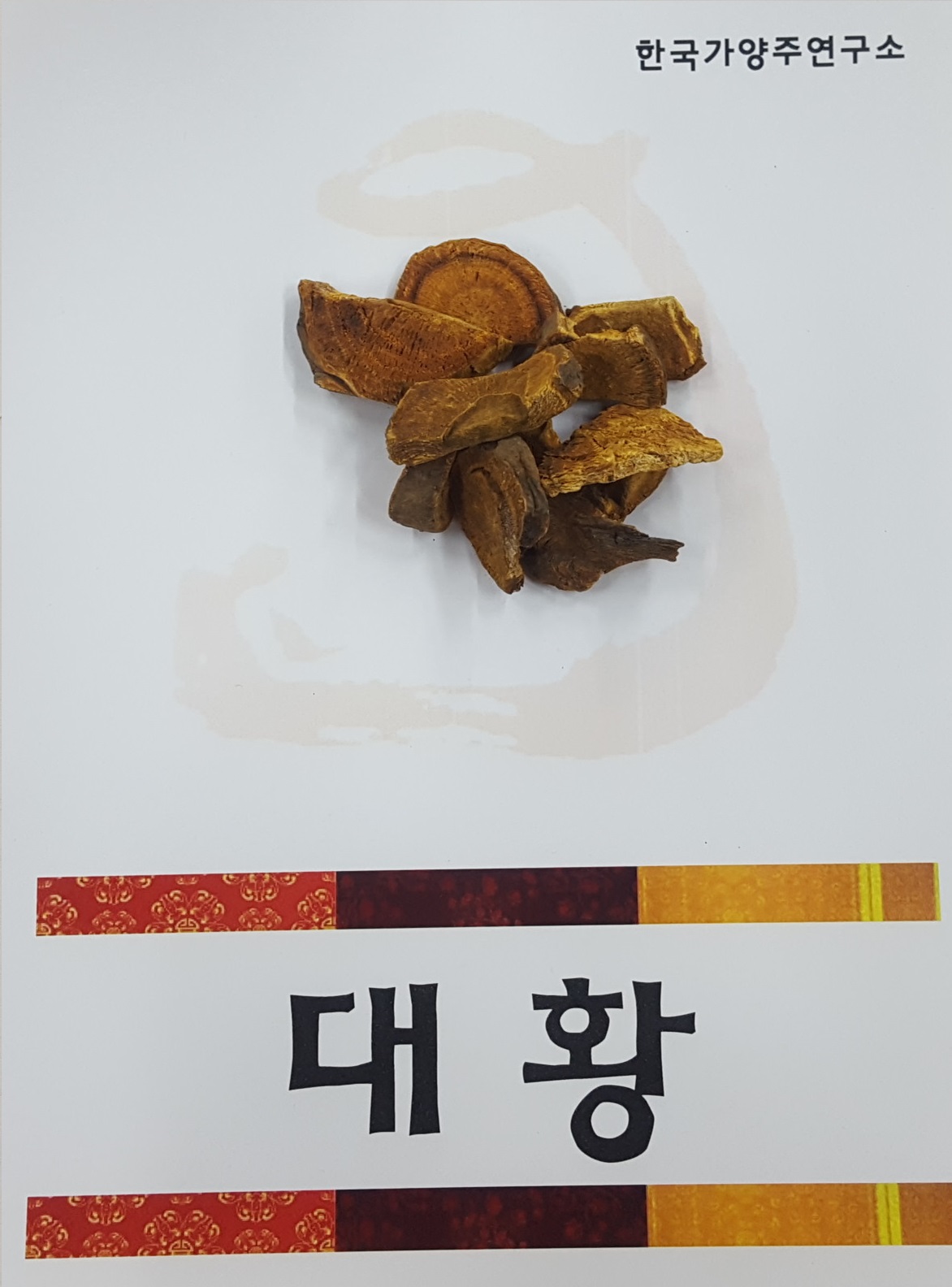 대황.jpg
