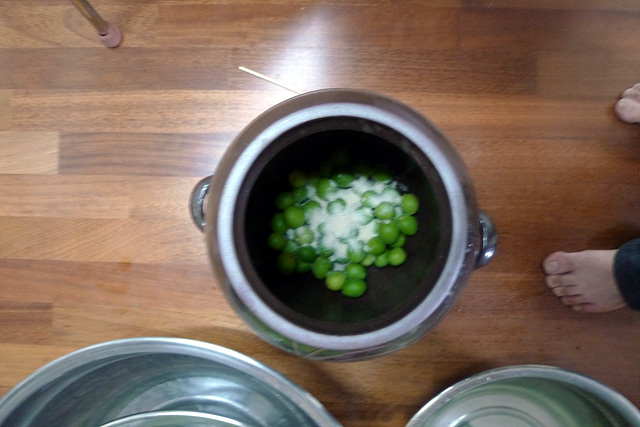 P1000630.jpg : 매실액기스