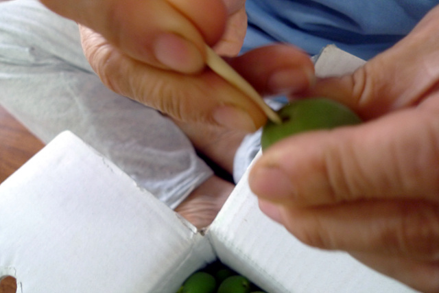 P1000624.jpg