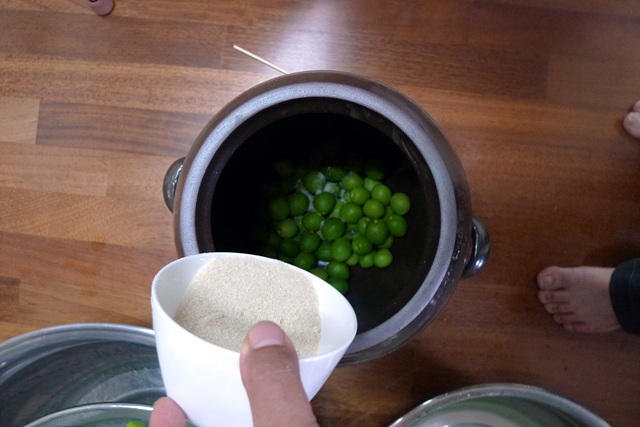 P1000629.jpg