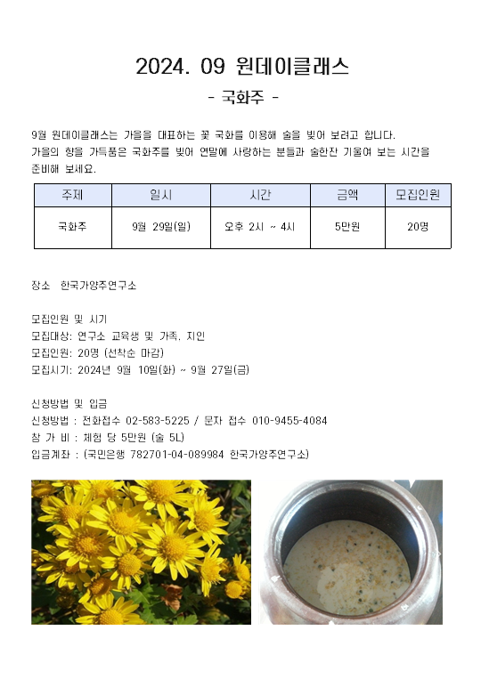 국화주 원데이 이미지.png