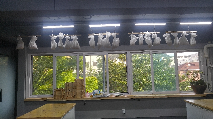 20170725_180338_HDR.jpg