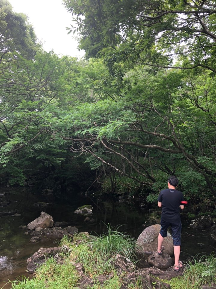 KakaoTalk_20190702_202252431_25.jpg