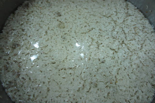 DSC01379.JPG