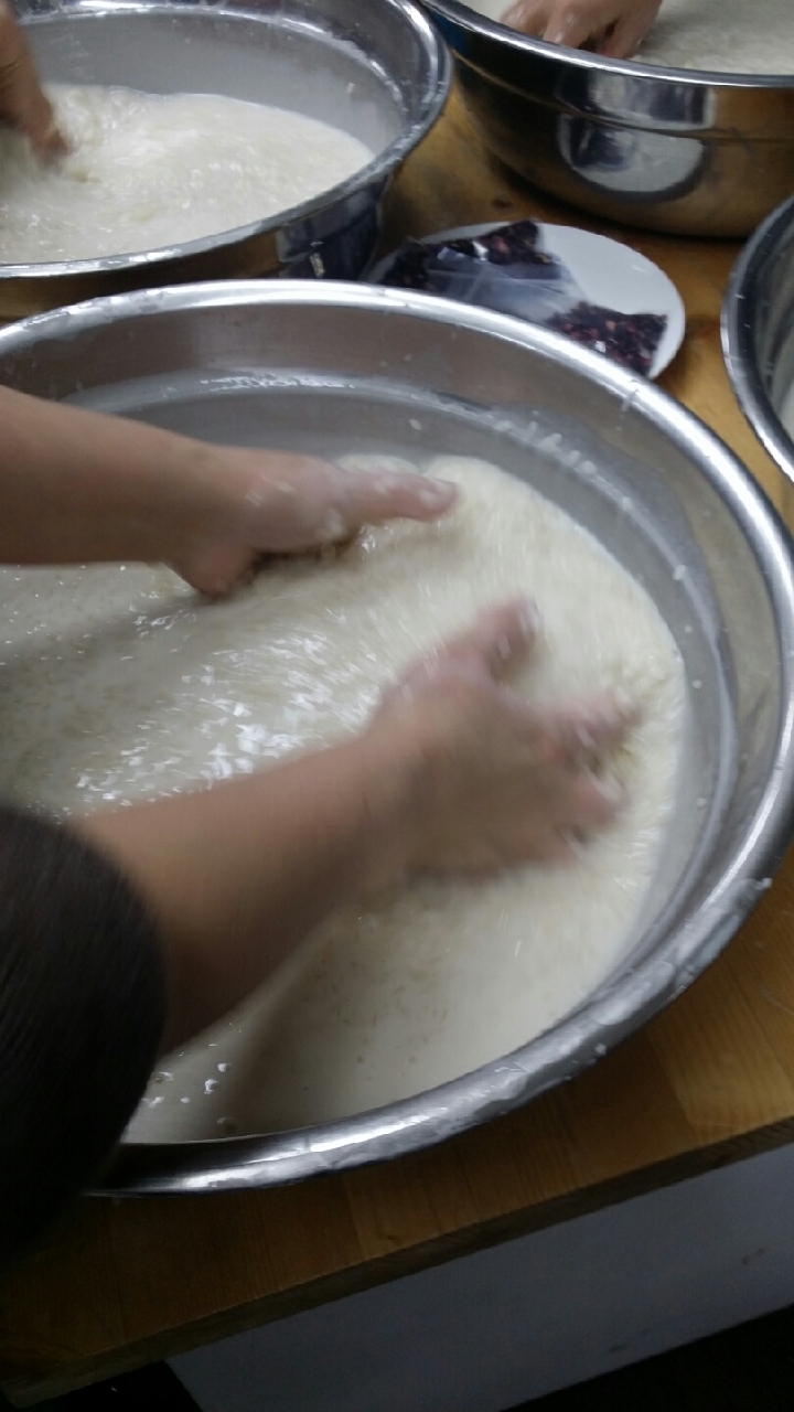 히비스커스 행사 (10).jpg
