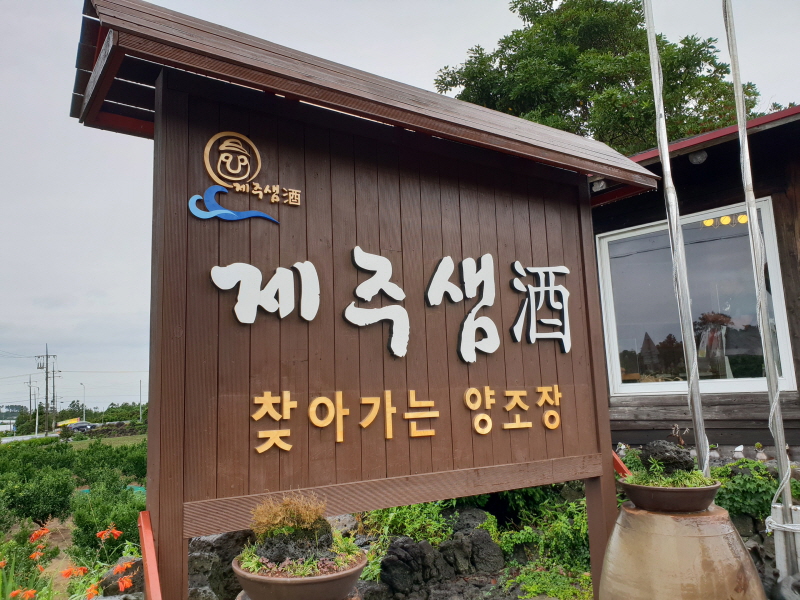 1번 제주샘주 (1).jpg