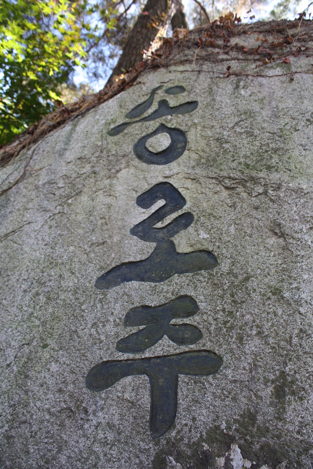 IMG_4484.JPG