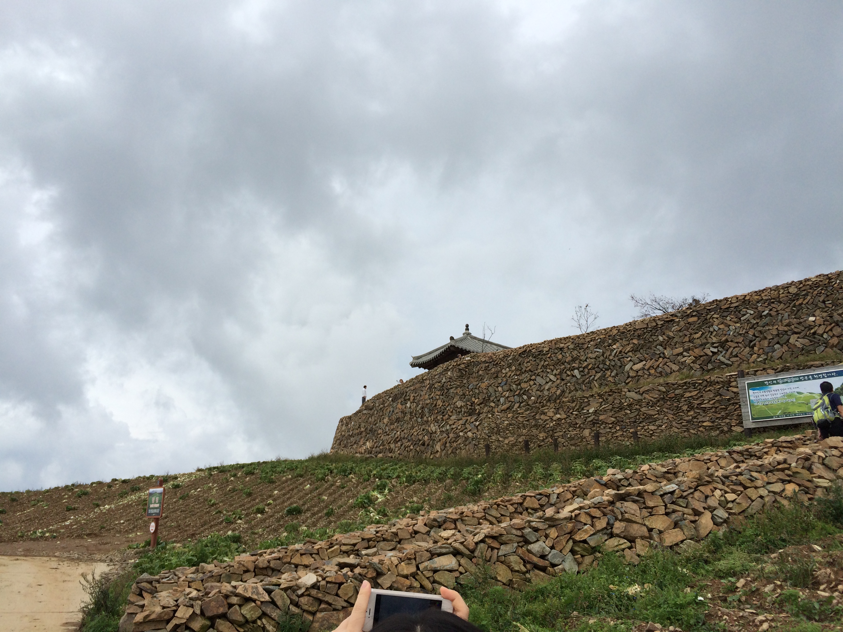 IMG_2408.JPG : 2015년 강릉 연엽주 탐방 다녀왔습니다.