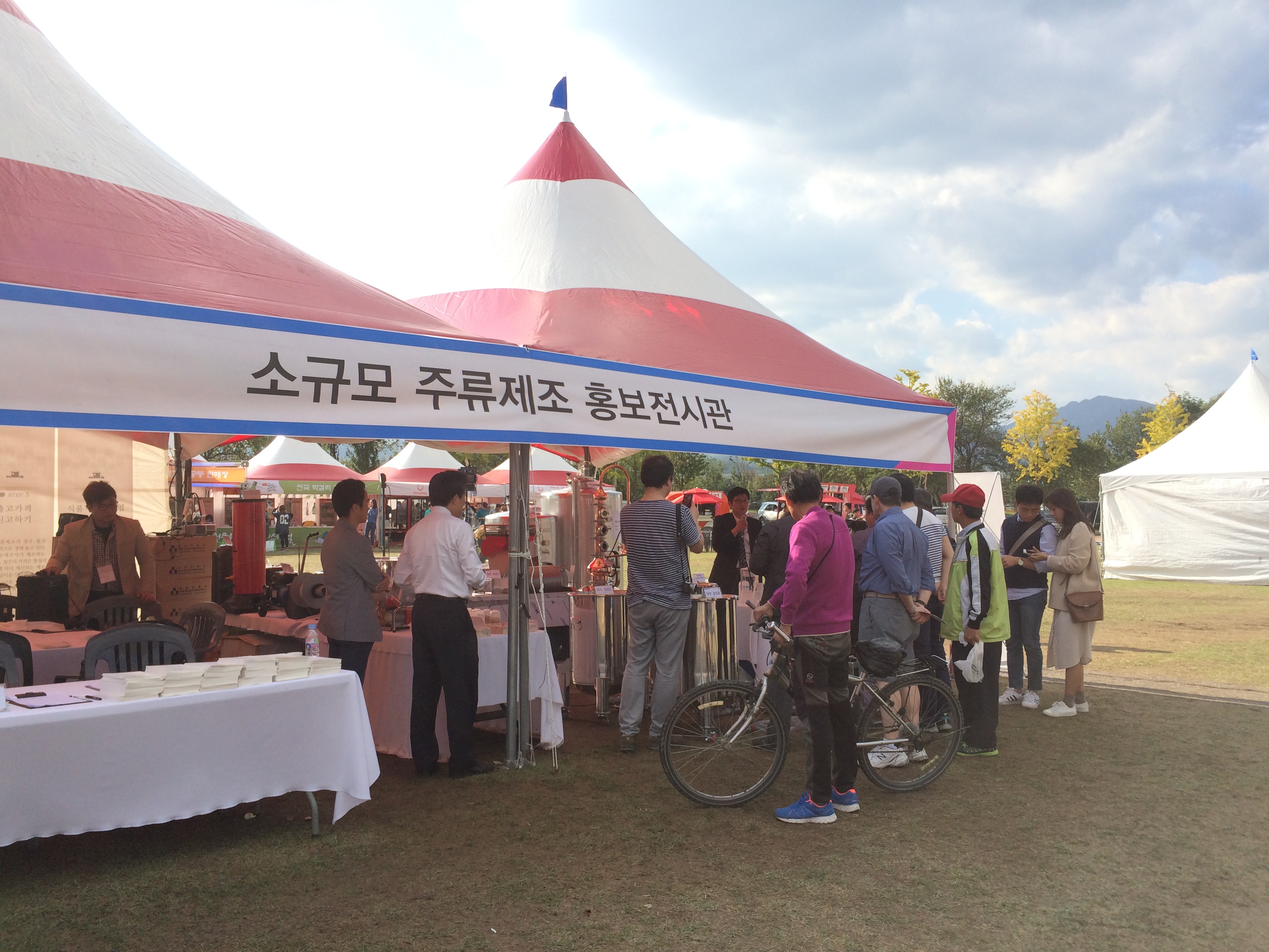 11.JPG