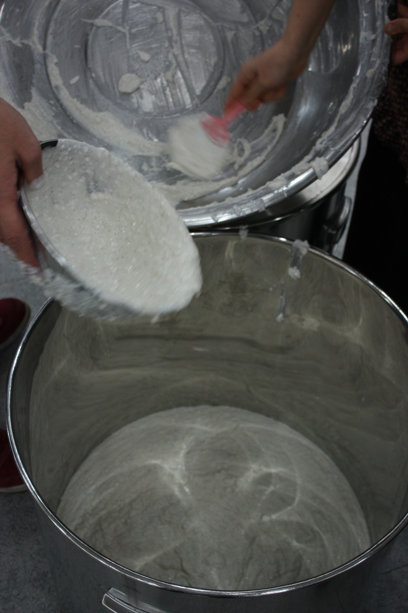 IMG_1773.JPG