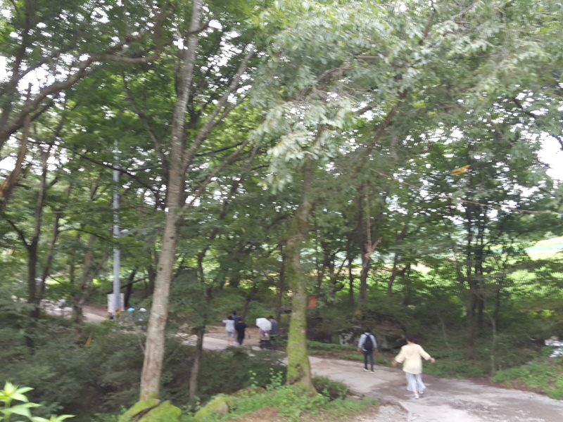 크기변환_솔티마을5.jpg