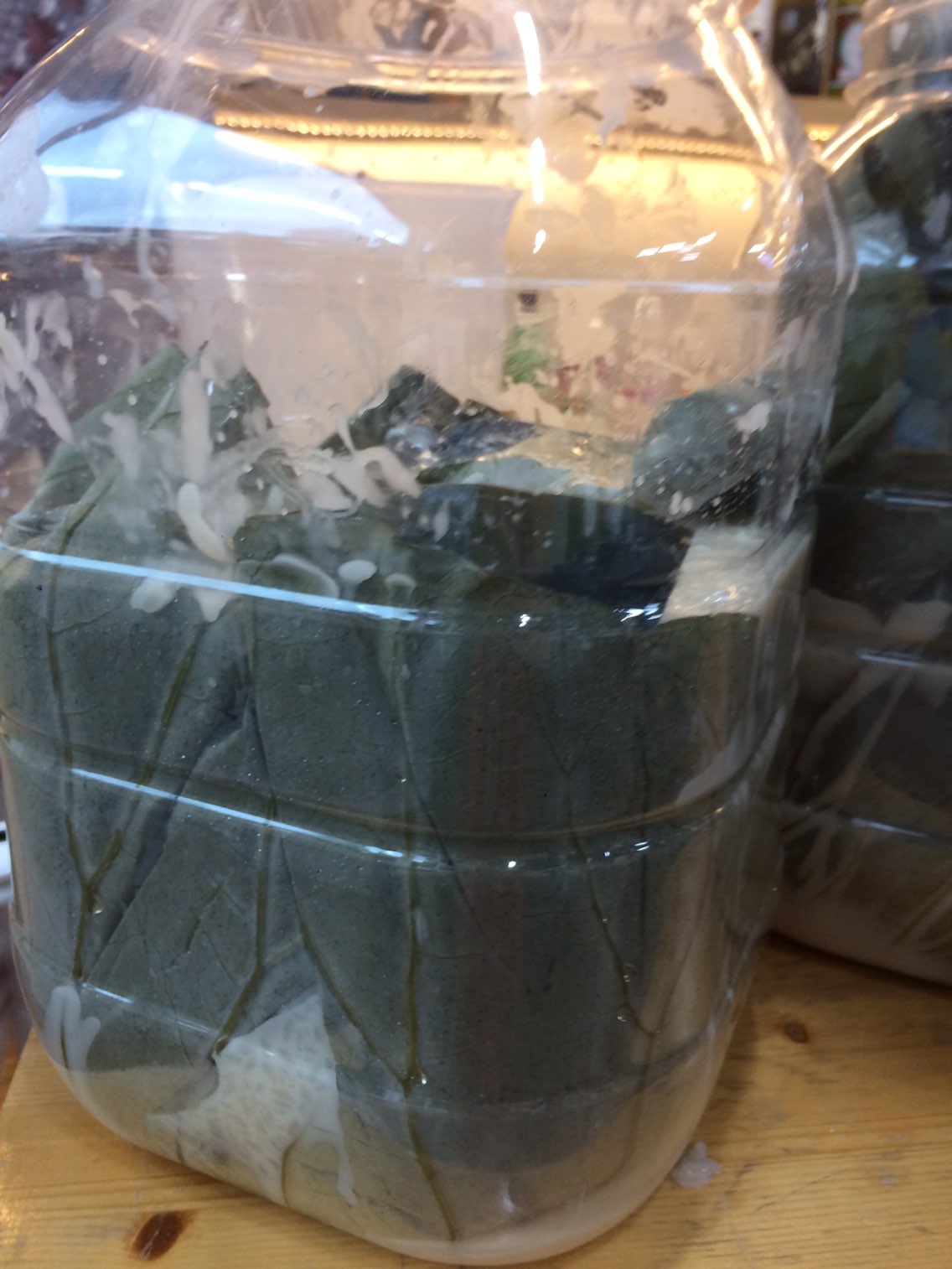 연엽주 (5).jpg