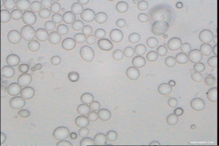 cap08.gif