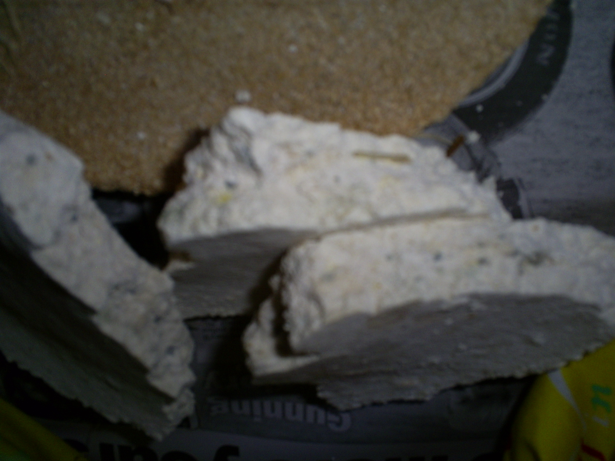 S5030695.JPG