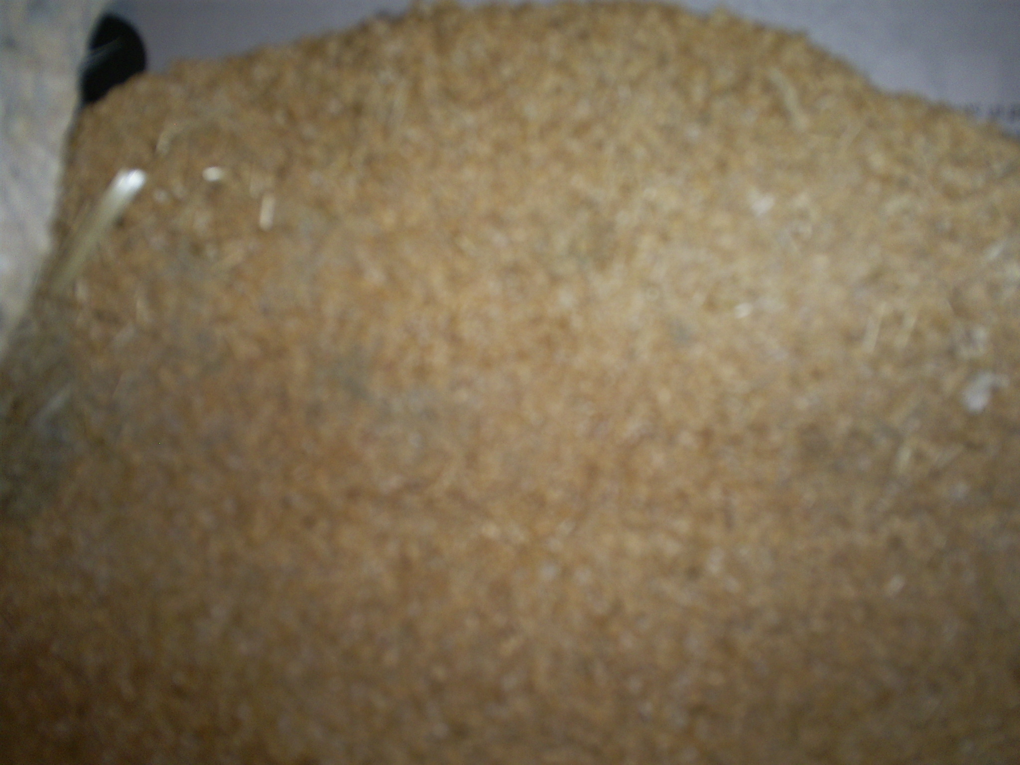 S5030696.JPG