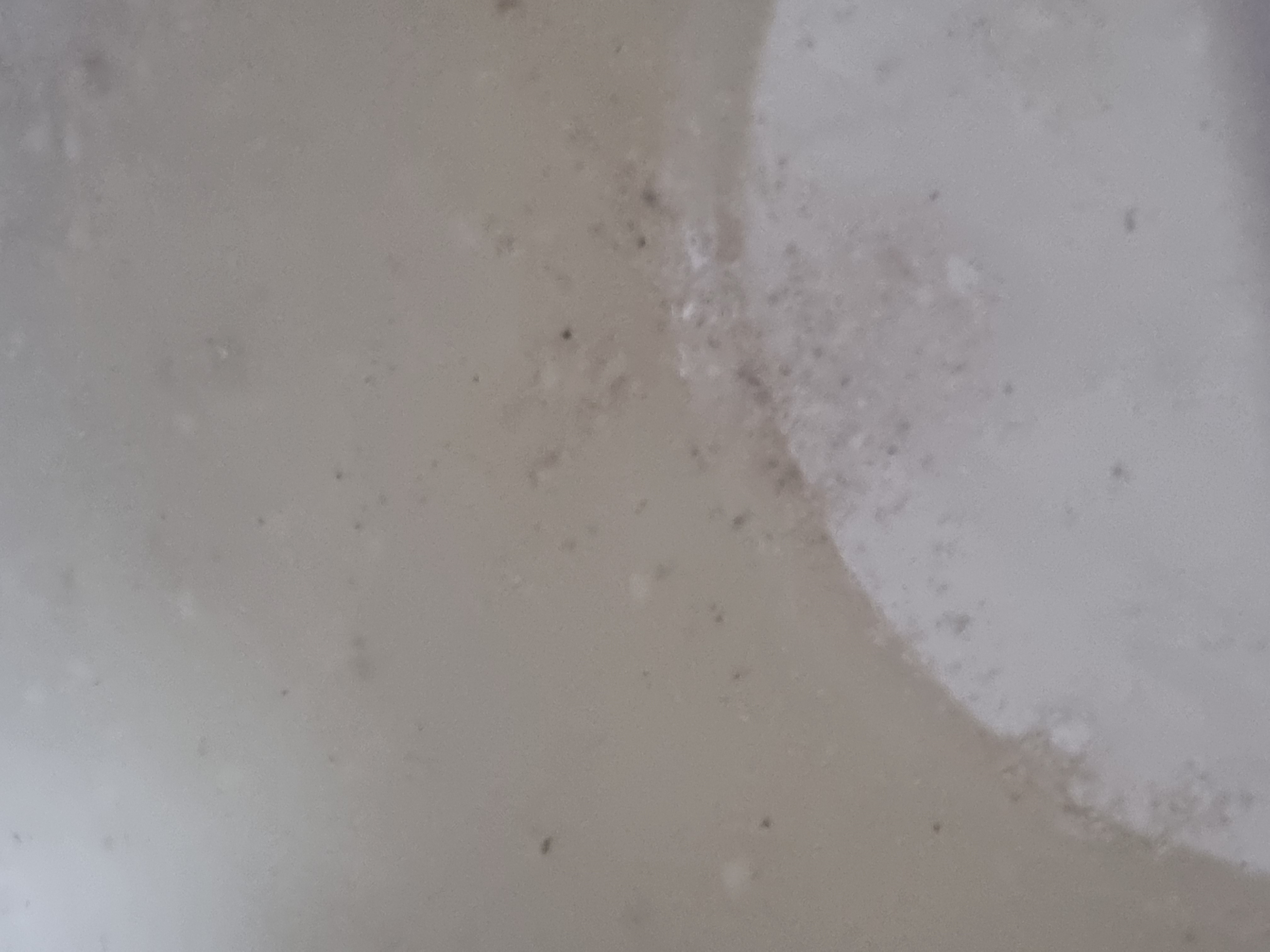 20240201_001010.jpg