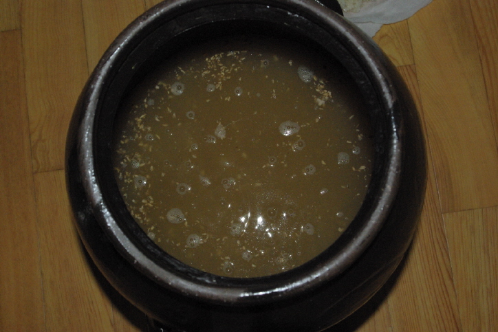 밑술_2차_45시간후.JPG